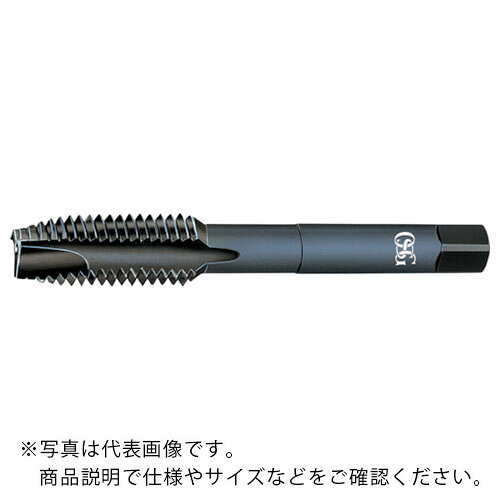仕様：表面処理：ホモ処理タップ等級：OH級