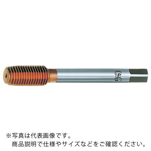 仕様：表面処理：TINコーティングタップ等級：RH級　●メーカー取寄商品について 本商品はメーカーからの取寄商品となります。 納期は、メーカー確認後、メールでご連絡させて頂きます。 在庫状況、生産状況によっては、かなり納期がかかる場合もございます。 　※お急ぎの場合は、ご注文前の納期確認も承りますので、　　お気軽にお問い合わせください。 　●代表画像について 商品によっては、代表画像を使用している場合がございます。 商品のカラー、サイズなどが異なる商品をイメージ画像として 使用させて頂いている場合がございます。 必ず、商品の品番と仕様をご確認のうえ、ご注文お願いいたいます。 　●北海道・沖縄・離島・一部地域の送料について 別途追加で送料がかかる場合がございます。 送料がかかる場合は、メールにて送料をご連絡させて頂き、 お客様にご了承頂いてからの手配となります。 　●お買上げ明細書の廃止について 当店では、個人情報保護と環境保護の観点から同封を廃止しております。 お買上げ明細書が必要な場合は、備考欄に「お買上げ明細必要」と 記載お願いいたします。 当店からの出荷の場合は、同封にて発送させて頂きます。 （※メーカー直送の場合は、PDFデータをメールさせて頂きます。）
