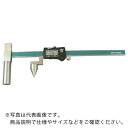 カノン 多機能デジタル丸穴ピッチノギス300mm ( E-RM30DX ) (株)中村製作所 【メーカー取寄】