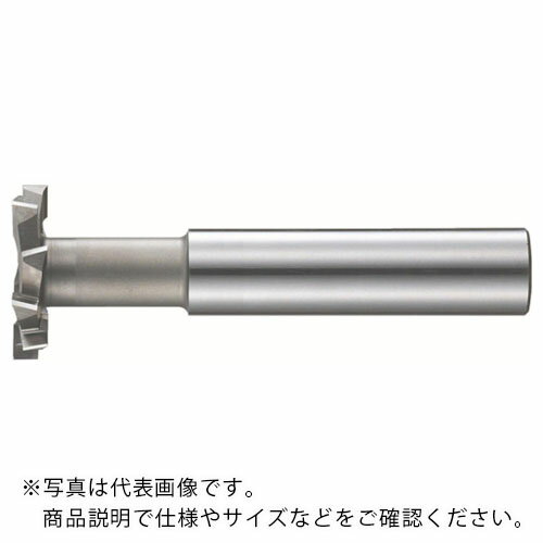 偉大な fkd 千鳥刃tスロットカッター100 19 Stc 100x19 Stc100x19 フクダ精工 株 メーカー取寄 激安特価 Www Ugtu Net 偉大な fkd 千鳥刃tスロットカッター100 19 Stc 100x19 Stc100x19 フクダ精工 株 メーカー取寄 激安特価 Www Ugtu Net
