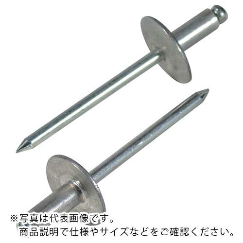 【SALE価格】エビ ブラインドリベット・ラージフランジ アルミ/スティール6-10 (500本入) ( NSA610LF ) (株)ロブテックス