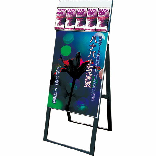 TOKISEI ( 常磐精工 ) パンフレットケーススタンド看板 DタイプB2片面 ( PCSKDB2K ) 