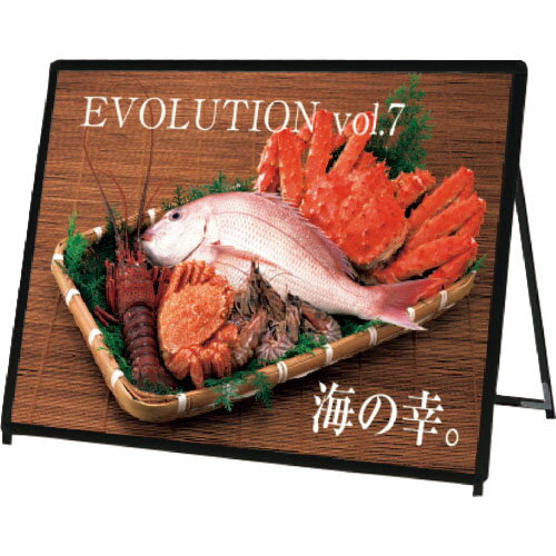 TOKISEI ݥåץɴ  B0̥֥å ( PGSKB0YLKBG ) () ڥ᡼