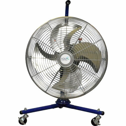 SALEʡۥƥ ̵⡼ ե (ߥϥ45cm) ( AFF-18NL ) ƥ()