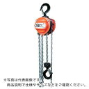 【SALE価格】HHH チェーンブロック 定格荷重0.25t 揚程2.5m ( R-CB250 ) (株)スリーエッチ