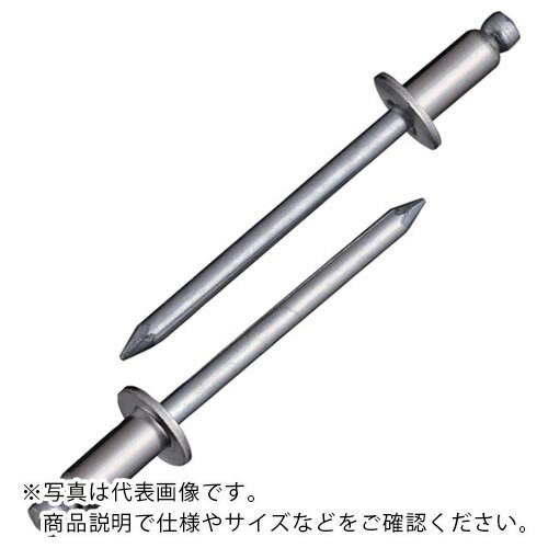 エビ ブラインドリベット(ステンレス/スティール製) 6-3(1000本入) 箱入 ( NSS63 ) (株)ロブテックス