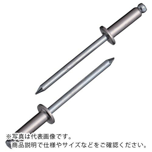 エビ ブラインドリベット(ステンレス/スティール製) 6-12(150本入) エコBOX ( NSS 6-12EB ) (株)ロブテックス