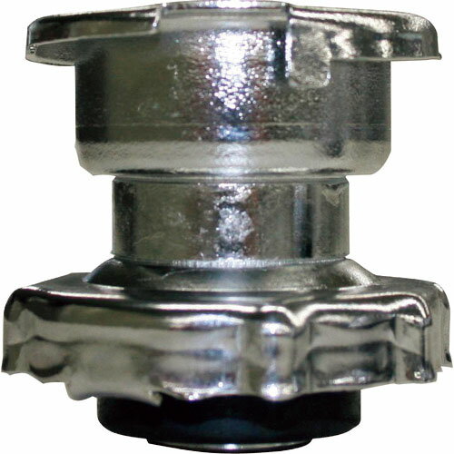 Zahren ラジタンBキャップ ( RT-B ) ザーレン・コーポレーション(株) 【メーカー取寄】