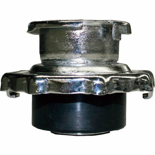 Zahren ラジタンCキャップ ( RT-C ) ザーレン・コーポレーション(株) 【メーカー取寄】