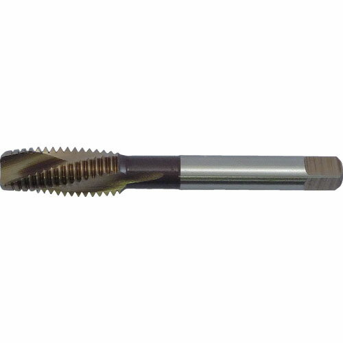 ��SALE���ʡ�IS ���Х�ȥ����åȥ��å� M12X1.75 ( COJET-M12X1.75 ) (��)�����ϥ�����