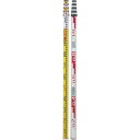【SALE価格】タジマ ハイスタッフ5m5段 ( HSF-55K ) (株)TJMデザイン
