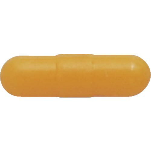 ���ͥå��� �ͥ�����å����� (�ܡ���ݥ���ȥ��� 8mm��) ( HBN-8 ) ���ͥå����ġ���(��) �ڥ᡼��������