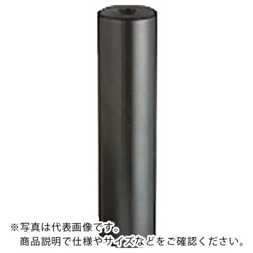 TRUSCO ݡȥԥ(åե) ( T-SSPL18-110 ) ȥ饹滳()