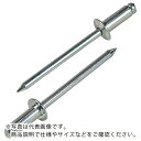 エビ ブラインドリベット(スティール/スティール製) 5-5(1000本入) 箱入 ( NS55 ) (株)ロブテックス(4)