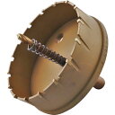 【SALE価格】エビ 超硬ホルソー(チタンコーティング) 100mm ( HO100G ) (株)ロブテックス
