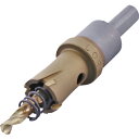 【SALE価格】エビ 超硬ホルソー(チタンコーティング) 19mm ( HO19G ) (株)ロブテックス