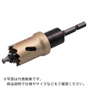 【SALE価格】エビ バイメタルホルソー 22mm 六角軸 ( BOH22G ) (株)ロブテックス