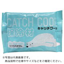 TRY 保冷剤 キャッチクール200g ( HC-200 ) (株)トライ・カンパニー