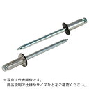 エビ カラーブラインドリベット5-3アルミ/スチール(300本入)リベット長8.9MM ブロンズ ( CNSA53BREB ) (株)ロブテックス