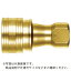 졡SPAץTypeA 6S-V-A BRASS FKM ( 6SVABRASSFKM ) 칩ʳ