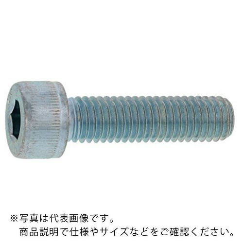 SUNCO ۥ磻 CAP(ϻѷդܥ)( 6  10 (70) ( A0-00-000C-0060-0100-03-70 ) 󥳡ȥ꡼() ڥ᡼