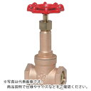 大和バルブ 給湯用コアリング付きゲートバルブ ( 10G-HN 32A ) (株)大和バルブ 【メーカー取寄】(4)