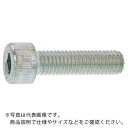 SUNCO CAP(六角穴付きボルト)(日本ファスナー 16×90 (4本入) ( A0-00-000F-0160-0900-00-4 ) サンコーインダストリー(株) 【メーカー取寄】(4)
