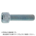 SUNCO 無電解-NI CAP(六角穴付きボルト)(半ねじ 10×45 (6本入) ( A0-00-0000-0100-0450-22-6 ) サンコーインダストリー(株) 【メーカー取寄】(4)