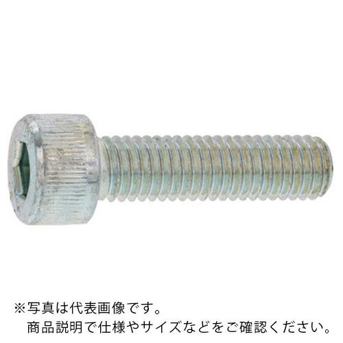 SUNCO BC CAP(六角穴付きボルト)(日本ファスナー 4 × 6 (80本入) ( A0-00-000F-0040-0060-10-80 ) サン..