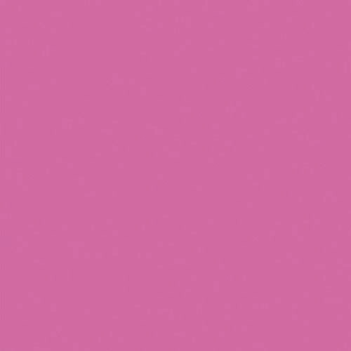 sign city ˥塼顼ܡ ⡼ 5mm A2Ƚ  BP-5CB-A2-MO Х ( 6300023660 ) ()ȥ졼 ڥ᡼