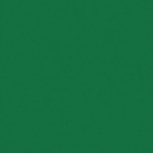 sign city 顼ݥåץ ꡼ 5mm B1Ƚ Ž 5PC-B1-GR Х ( 6300023693 ) (...