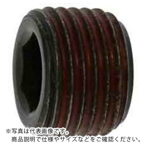 SUNCO ストッキングプラグシズミ GM 1”1/4 (1本入) ( A0-00-581S-8120-0000-00-1 ) サンコーインダストリー(株) 【メーカー取寄】