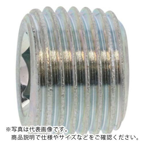 樂天商城 - SUNCO ( サンコーインダストリー ) DRYシ-ル プラグ(沈み PT 3/8 (10本入) ( A0-00-5710-8030-0000-72-10 ) 【メーカー取寄】