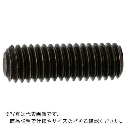 SUNCO ( サンコーインダストリー ) HS(TKS(平先 8×65 (10本入) ( A0-00-501T-0080-0650-00-10 ) 【メーカー取寄】