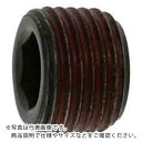 SUNCO ストッキングプラグシズミ GM 1/2 (6本入) ( A0-00-581S-8040-0000-00-6 ) サンコーインダストリー(株) 【メーカー取寄】