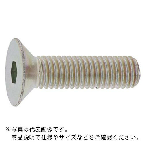 樂天商城 - SUNCO ( サンコーインダストリー ) SUSサラCAP アンスコ 8×22 (8本入) ( A0-02-200A-0080-0220-00-8 ) 【メーカー取寄】