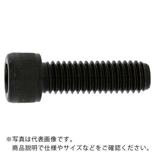 乐天商城 - SUNCO ( サンコーインダストリー ) ステンCAP(UNC5/16X2”(1本入) ( A0-02-0030-8025-8200-00-1 ) 【メーカー取寄】