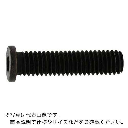 Rakuten - SUNCO ( サンコーインダストリー ) ステンレス 小頭NSローヘッド 4×16 (5本入) ( A0-02-L350-0040-0160-00-5 ) 【メーカー取寄】