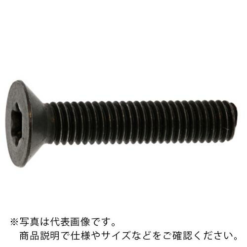 Rakuten - SUNCO ( サンコーインダストリー ) ステンレス TORX-サラCAP DIN規格 3×20 (10本入) ( A0-02-T200-0030-0200-00-10 ) 【メーカー取寄】