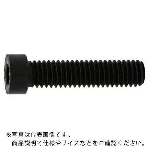 SUNCO ( サンコーインダストリー ) ステンレス 小頭ローヘッドCAP 3×8 (10本入) ( A0-02-L050-0030-0080-00-10 ) 【メーカー取寄】(4.0)