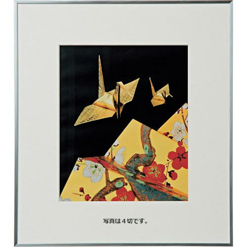 乐天商城 - Kenko ( ケンコー・トキナー ) 1250116 アルミ額縁 画廊 A3SVアクリル ( AGR-A3-SV-AC ) 【メーカー取寄】