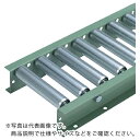 タイヨー TR-N4214型 ローラー幅600W×P100×90Rカーブ ( N4214-600-100-90R ) 太陽工業(株) 【メーカー取寄】(4)
