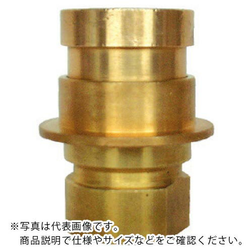 IWA 黄銅製 町野式 異径 媒介金具 E105 町野オス×ガスネジメス(PTネジ) ( 43E4020B ) (株)岩崎製作所 【メーカー取寄】