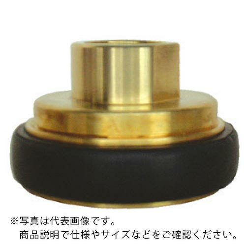 IWA 黄銅製 町野式 異径 媒介金具 F106 町野メス×ガスネジメス(PTネジ) ( 43F4025B ) (株)岩崎製作所 【メーカー取寄】
