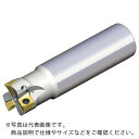 TAEGUTEC ミーリングカッター チェイス4ミル ( 4N TE90-432-W32-09 ) テグテックジャパン(株)