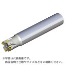 TAEGUTEC ミーリングカッター チェイス4ミル ( 4N TE90-1040-W32-04 ) テグテックジャパン(株)