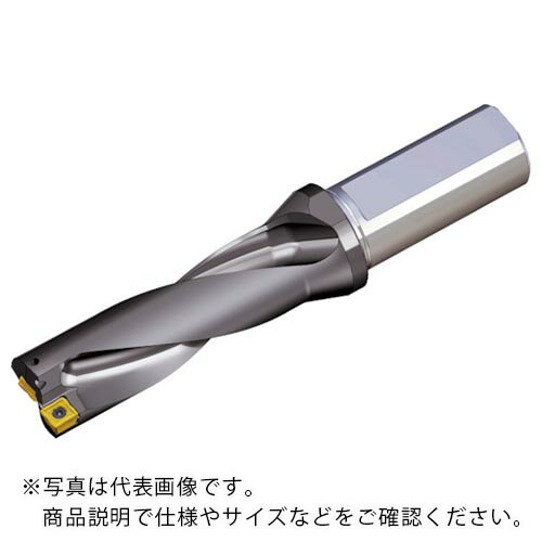 TAEGUTEC ( NTKカッティングツールズ ) 刃先交換式ドリルホルダー トップドリル ( TOP 3370-40T2-13 )