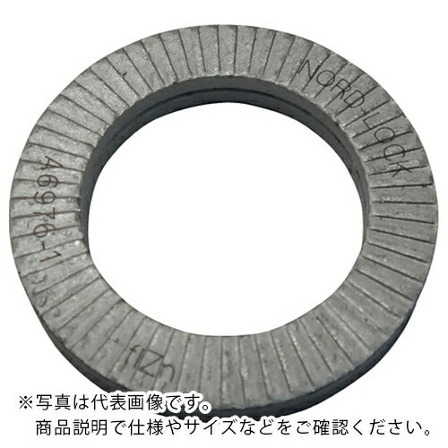 ノルトロック ノルトロックワッシャー デルタプロテクト (25枚入) ( NL48 ) 【メーカー取寄】