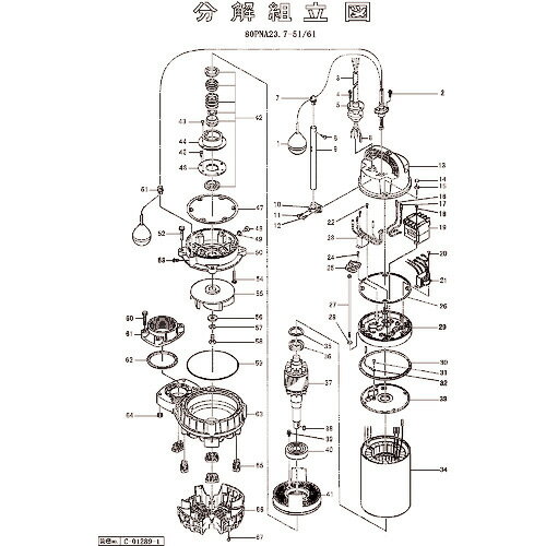 Orange Tool Tokiwa㤨֥ĥ åԥ󥰤ʤپͤ ( 801-14300051-9 (ḫ ڥ᡼ۡפβǤʤ26ߤˤʤޤ