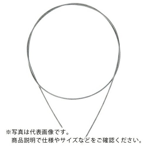 TRUSCO ƥ쥹磻䥫åȥ 3.01000mm ξüùʤ ( SCW300X1M ) ȥ饹滳()